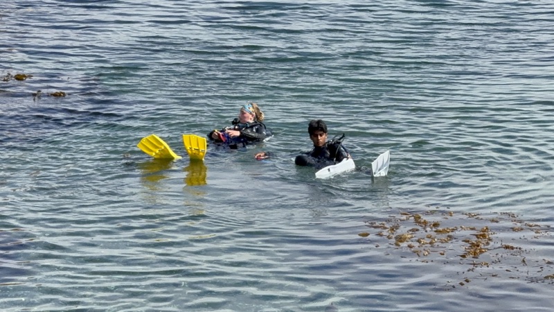 Emerald Bay dive
