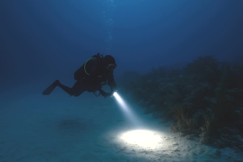 Night dive light